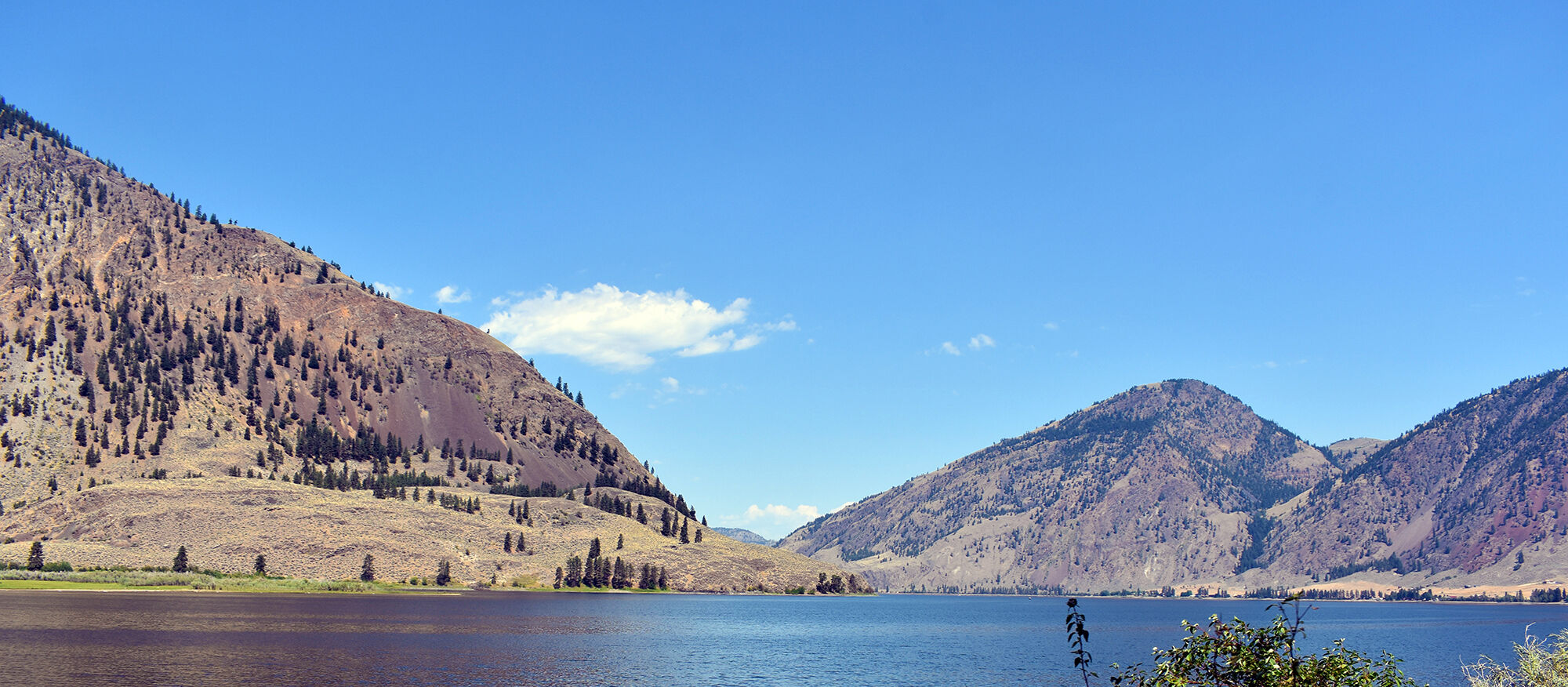 palmer lake